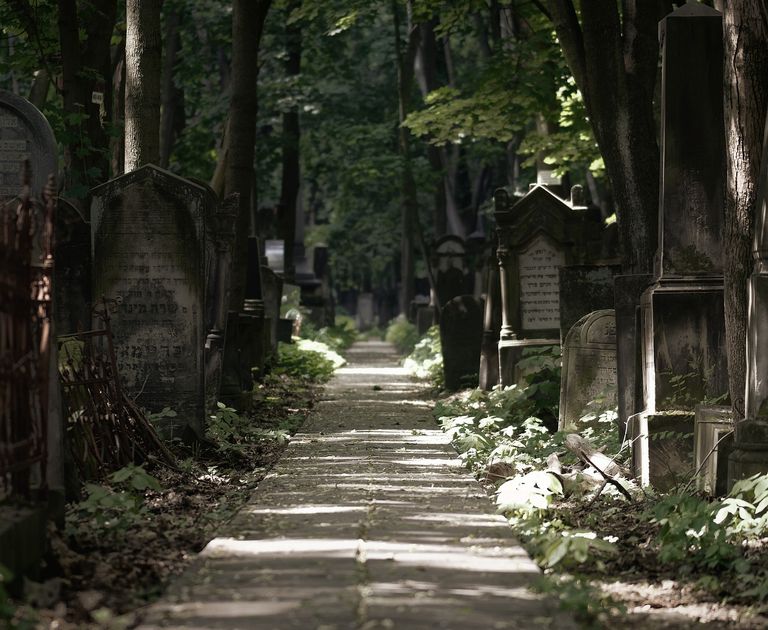Friedhof